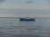 Яхта на Белом море